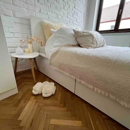 Bright Very Flat, Pedestrian Street Charm Appartement Cluj-Napoca