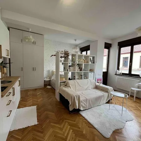 Bright Very Flat, Pedestrian Street Charm Appartement
